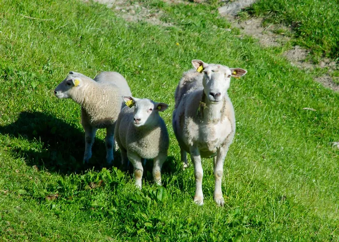 Tantestova By Interhome Semesterbostad Balestrand